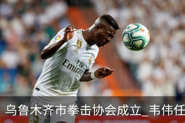 乌鲁木齐市拳击协会成立 韦伟任会长
